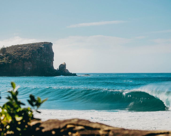 a beach in the northern beaches - the deep north festival this weekend in sydney