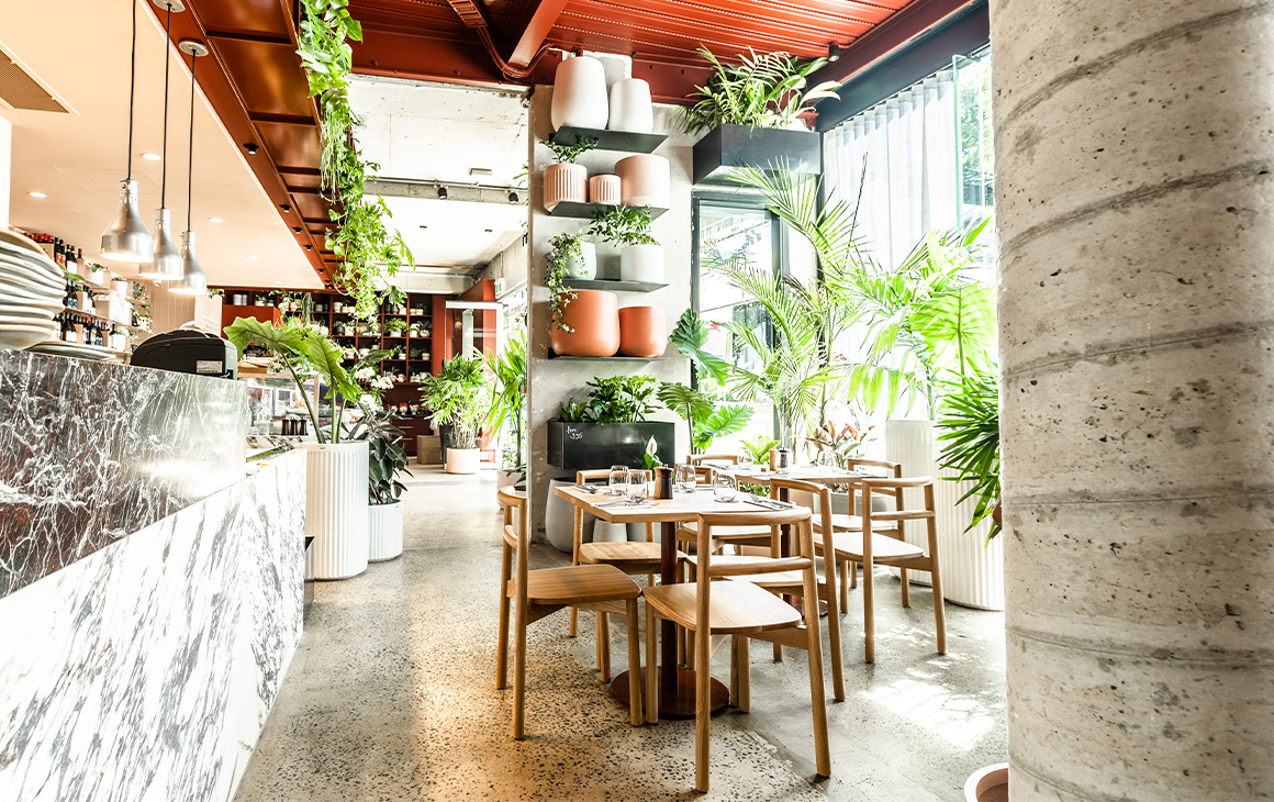 a cafe interior covered in plants