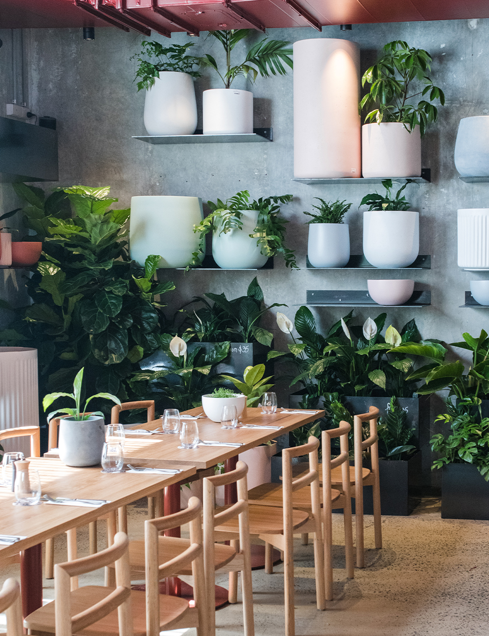 interior of a cafe covered in plants