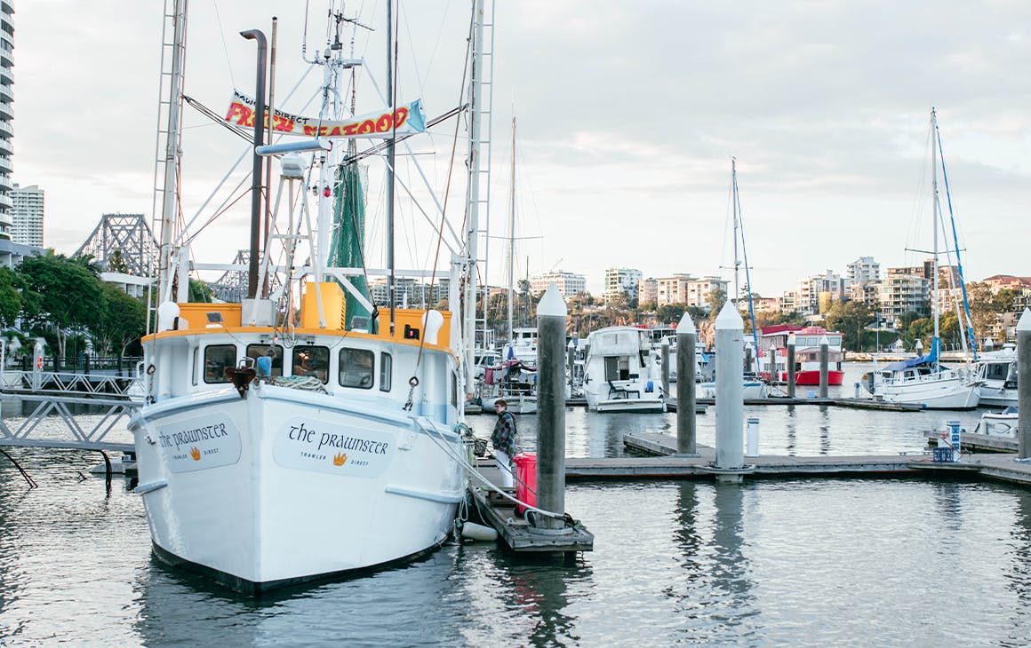small prawn trawler in a marina 