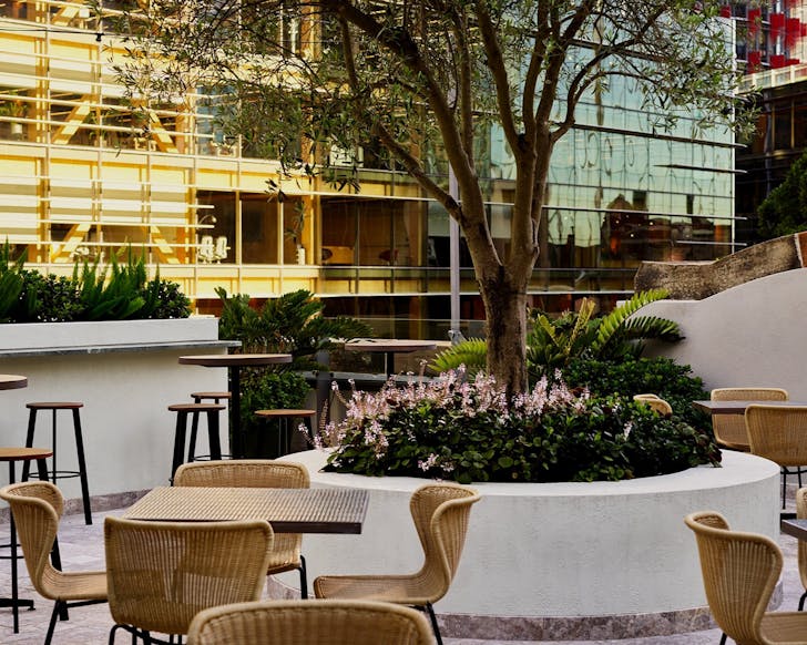 the sussex hotel sydney cbd pub