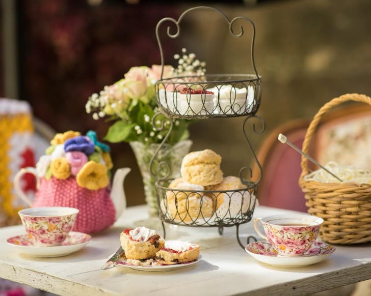 best sydney cbd high tea affordable the tea cosy the rocks 