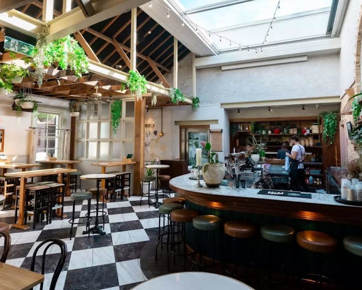 the trinity surry hills pubs 