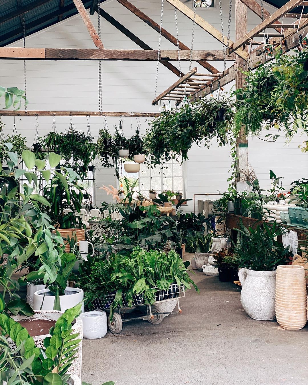 a warehouse style shop full of plants