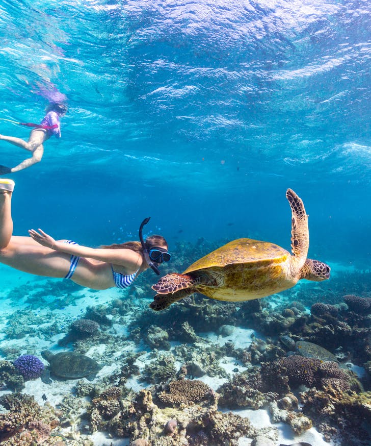 Snorkelling in Coral Bay
