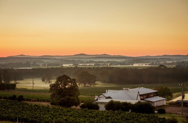 A view across the Hunter Valley vineyards at dusk. 