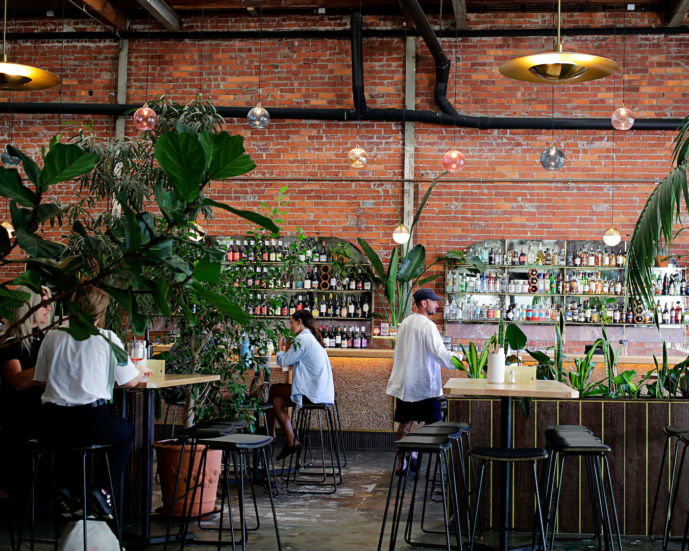 An urban winery filled with plants