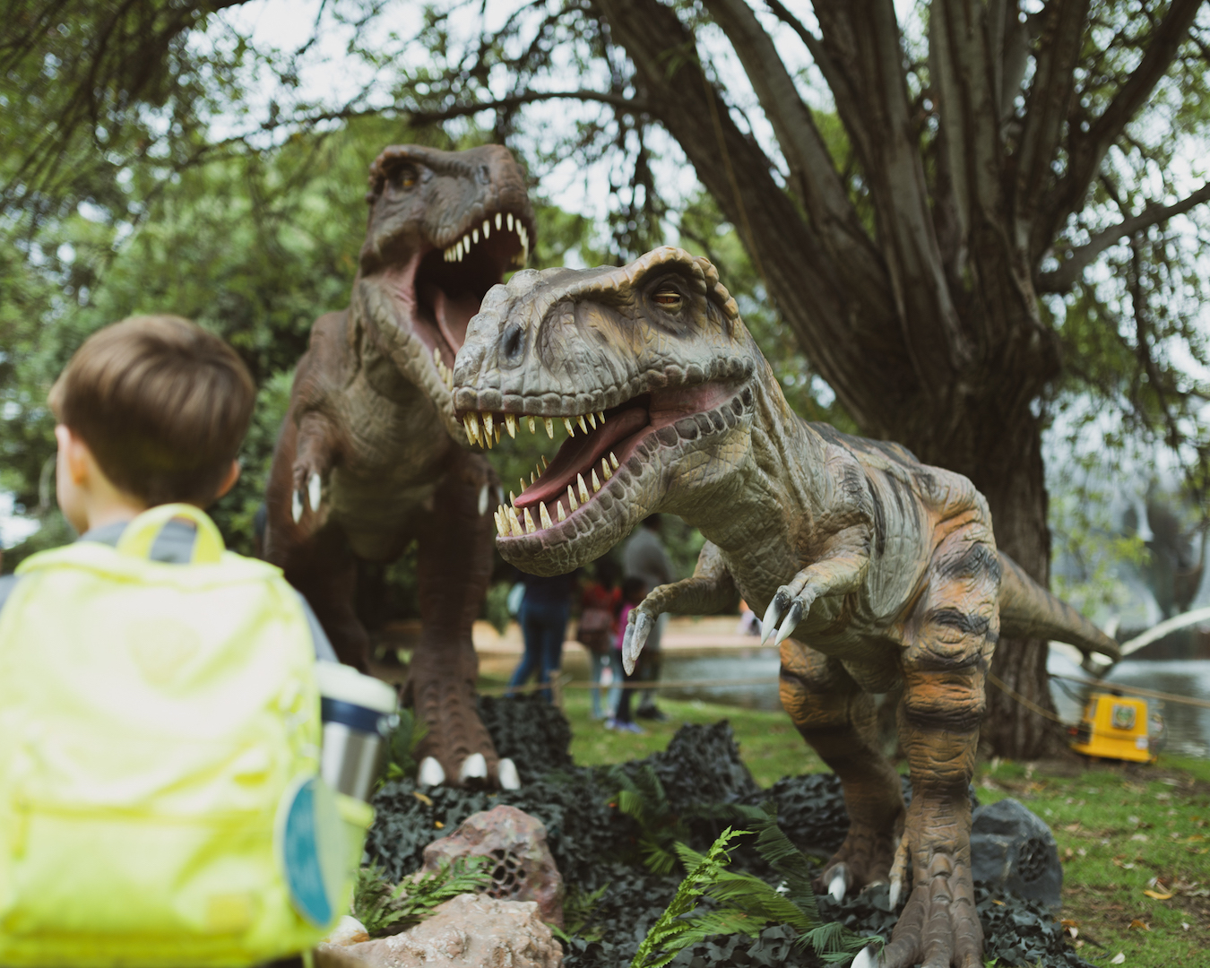 Jurassic Kingdom for kids in Perth