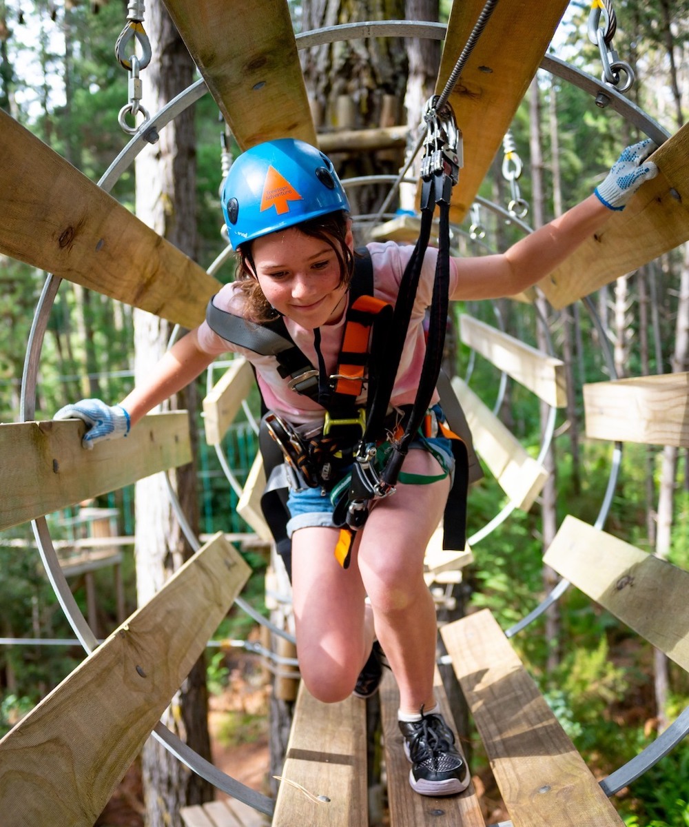 Treetop Adventure for kids