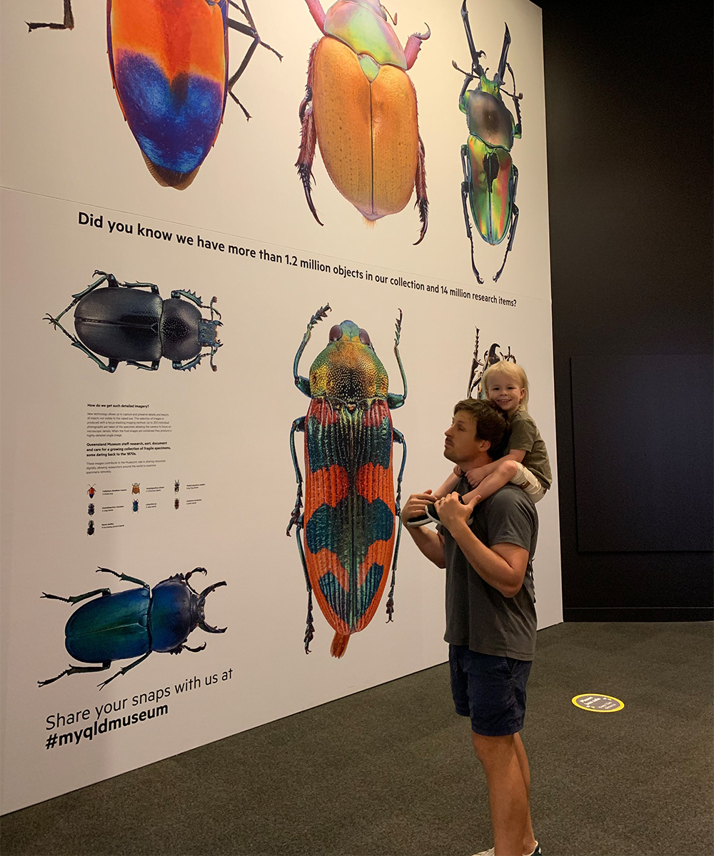 a father and child looking at a wall of insect images