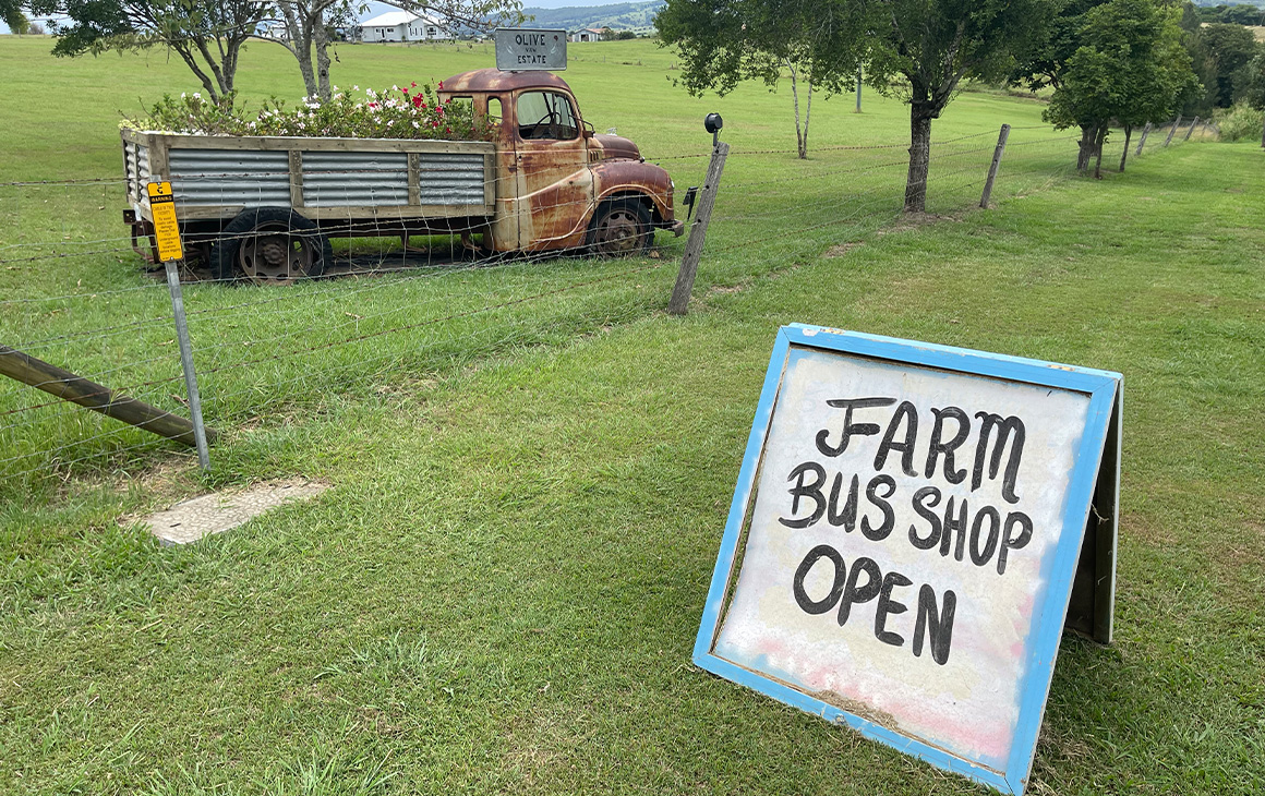 day tours in brisbane