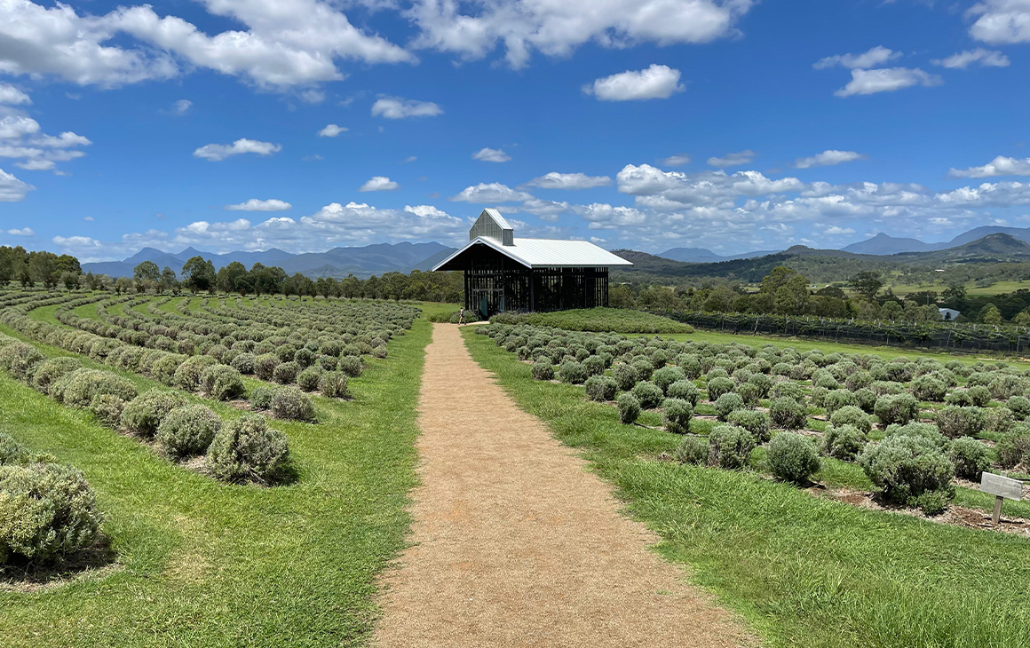 scenic rim farm visit