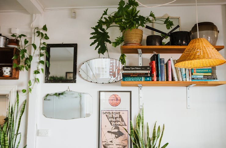 A cosy interior of a Maleny cafe, featuring a wall of mirrors and picture frames, shelves and hanging plants. 