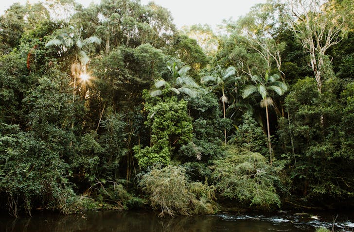 things to do sunshine coast hinterland