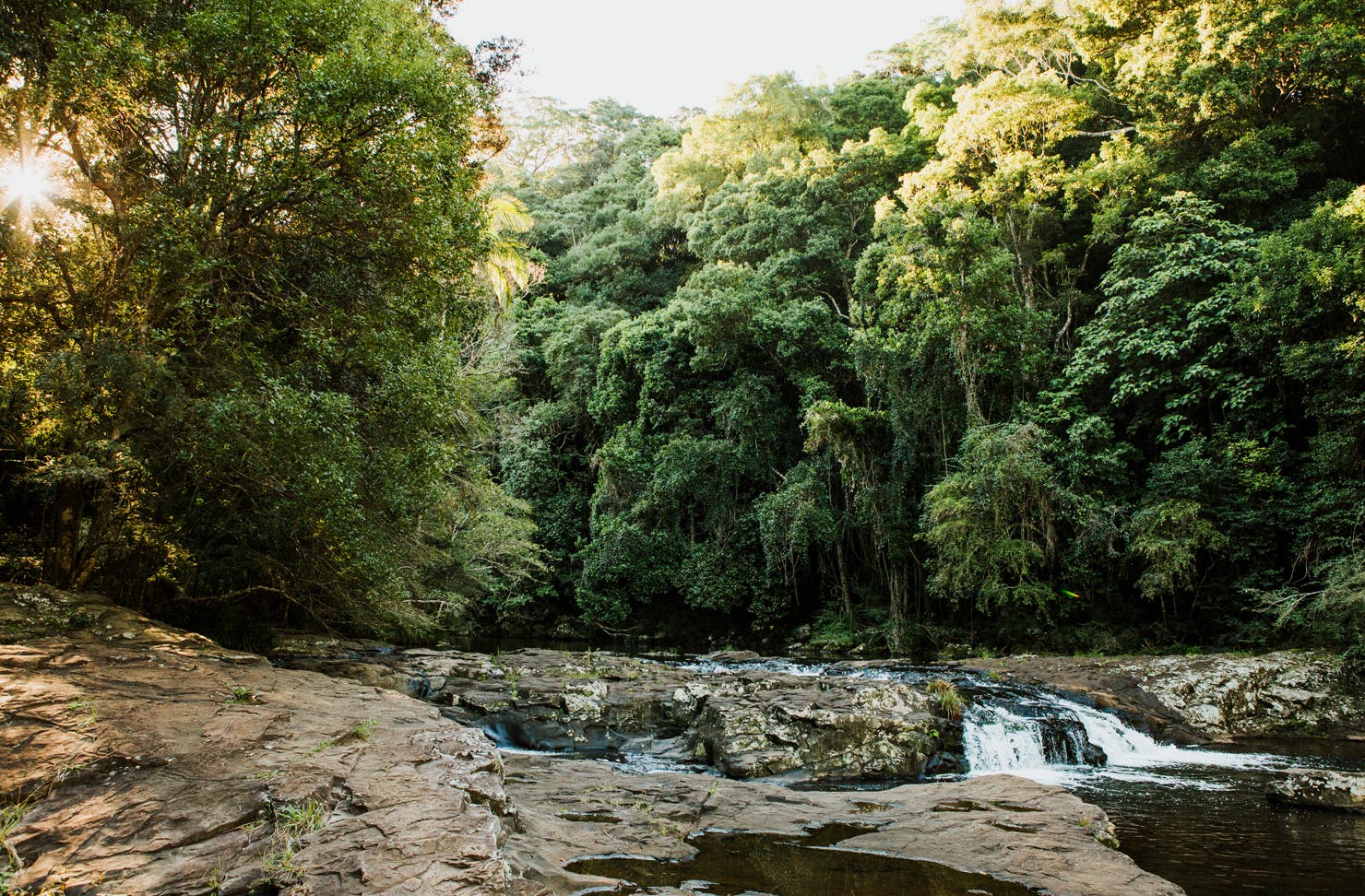 things to do sunshine coast hinterland