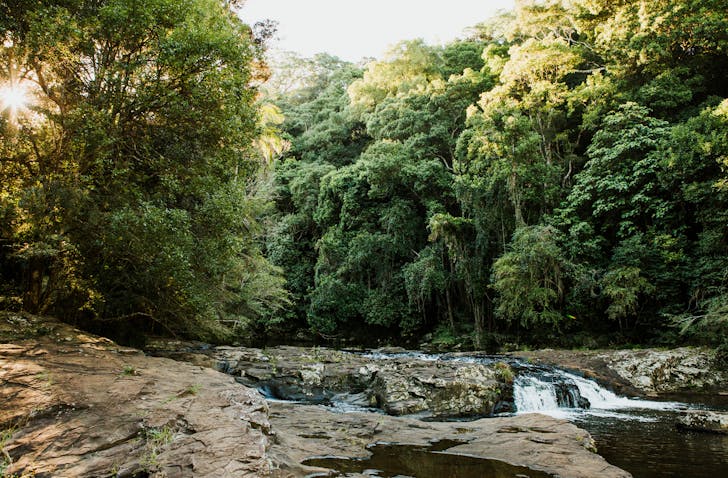 things to do sunshine coast hinterland
