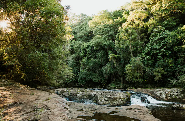 things to do sunshine coast hinterland
