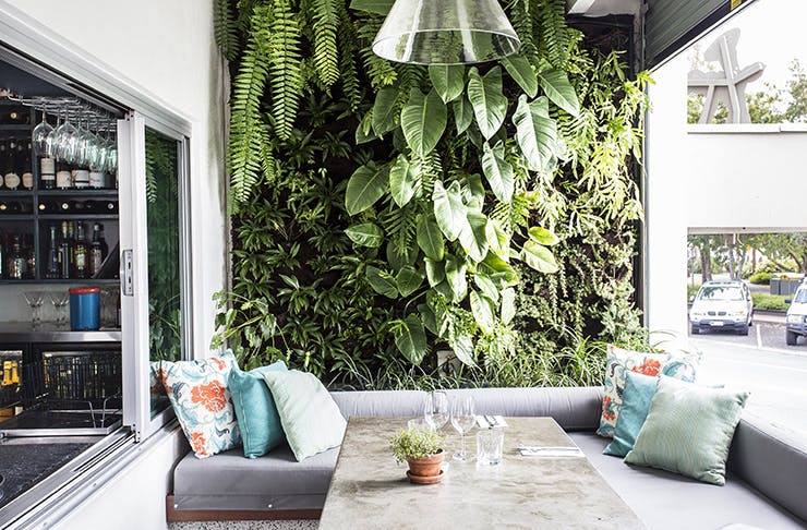 Greenery and a lounging area come together at Noosa River restaurant, Thomas Corner Eatery.