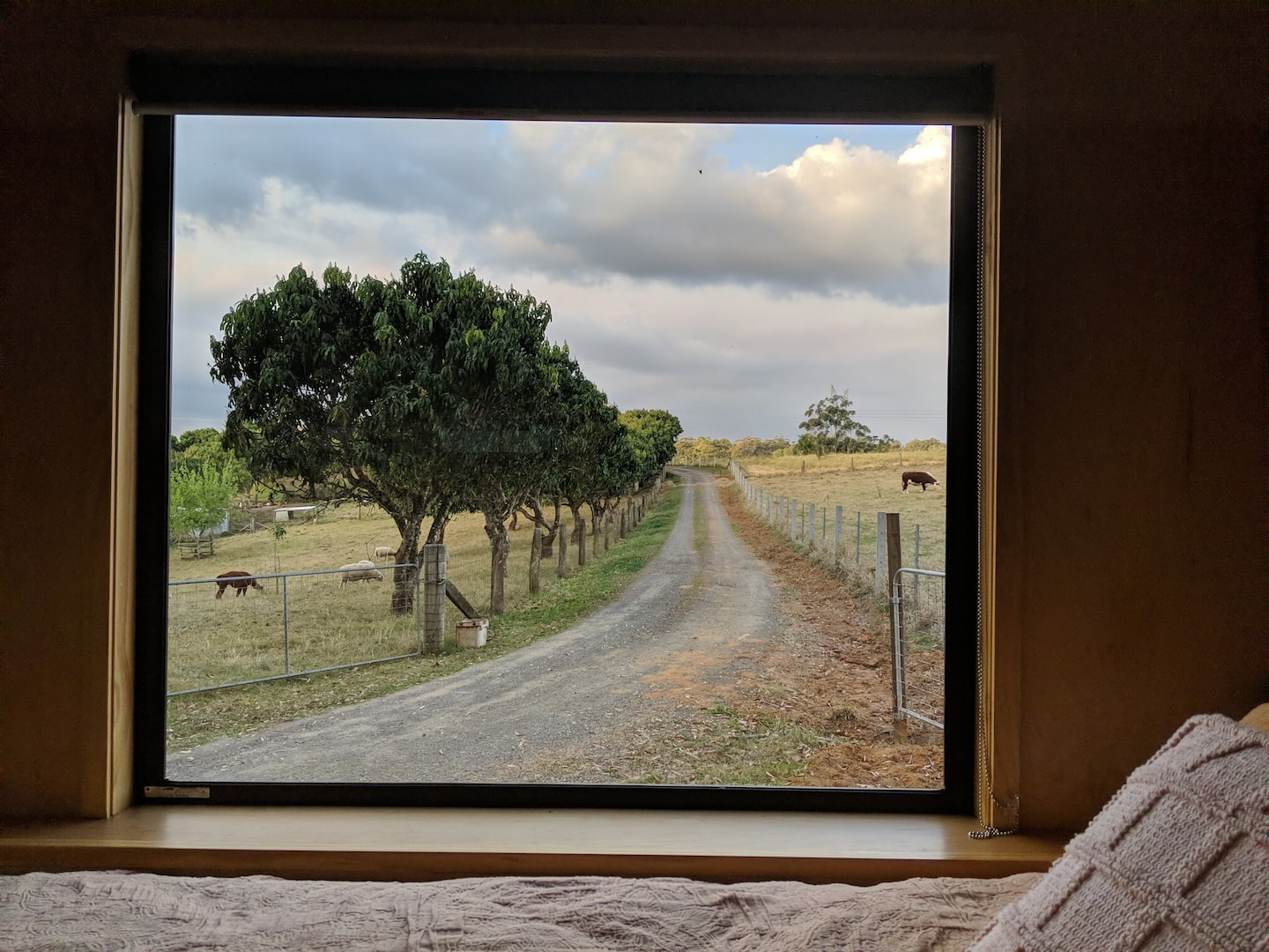 view of a farm road through a window
