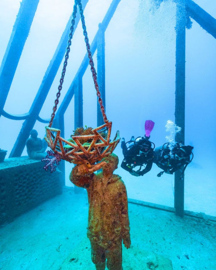 townsville art scene moua