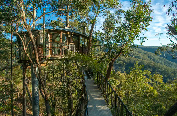 A treehouse perched in between gumtrees in the lush blue mountains.