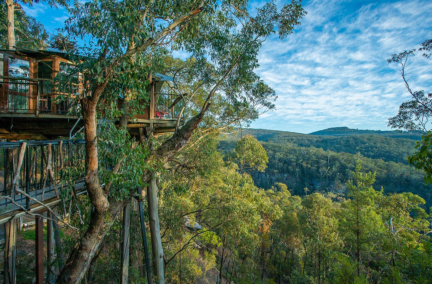A treehouse perched high off the ground.