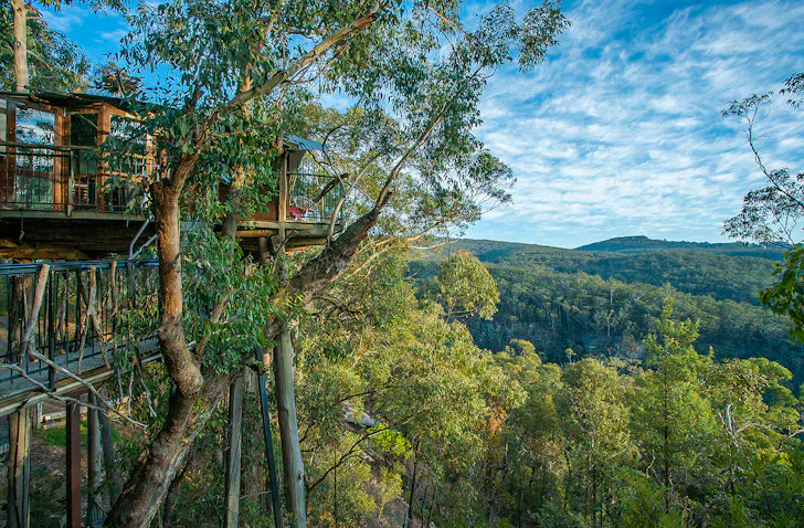 A treehouse perched high off the ground.