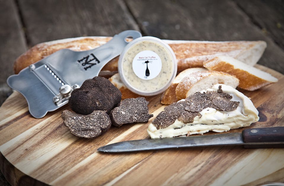 What’s The Deal With Truffles? Find Out At This Tasty Festival! URBAN