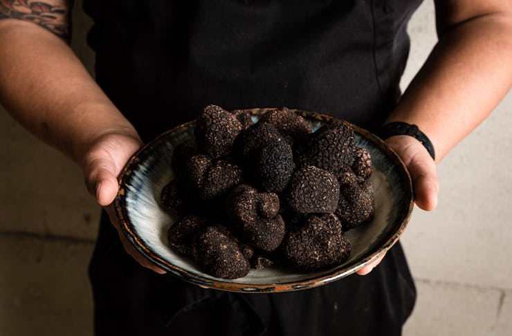 chef holds bowl full of truffles