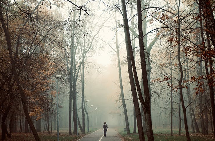 A person walking amongst tall trees with fog passing through the distance.