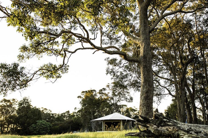 Two Blind Cows Glamping Margaret River