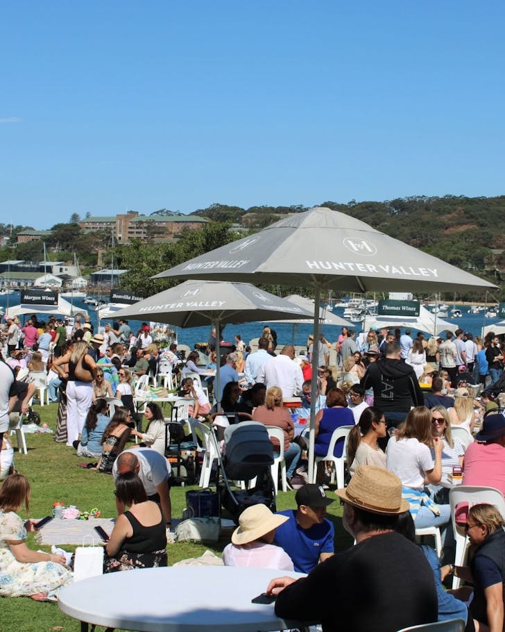 Groups picnicing by balmoral beach for the uncorked festival