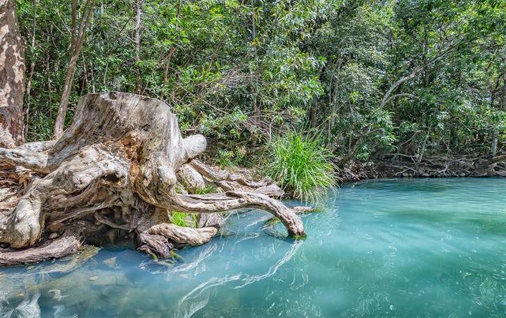 A vibrant blue pool surrounded by trees