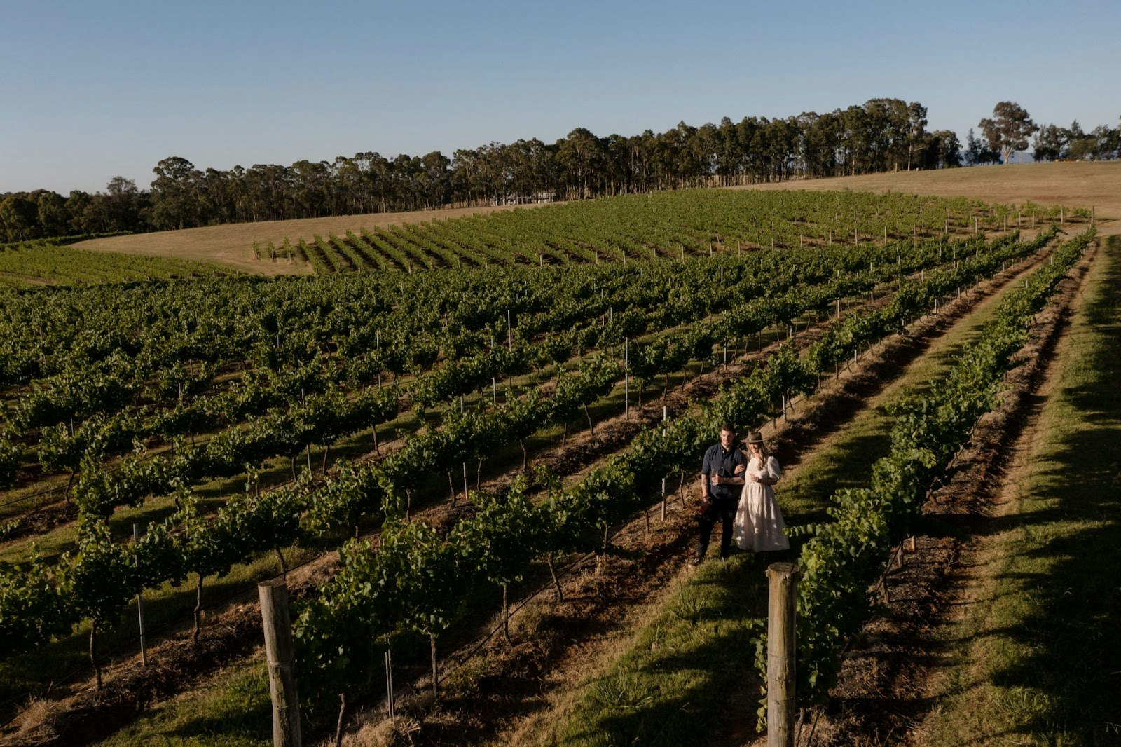 Two people walking in vineyard