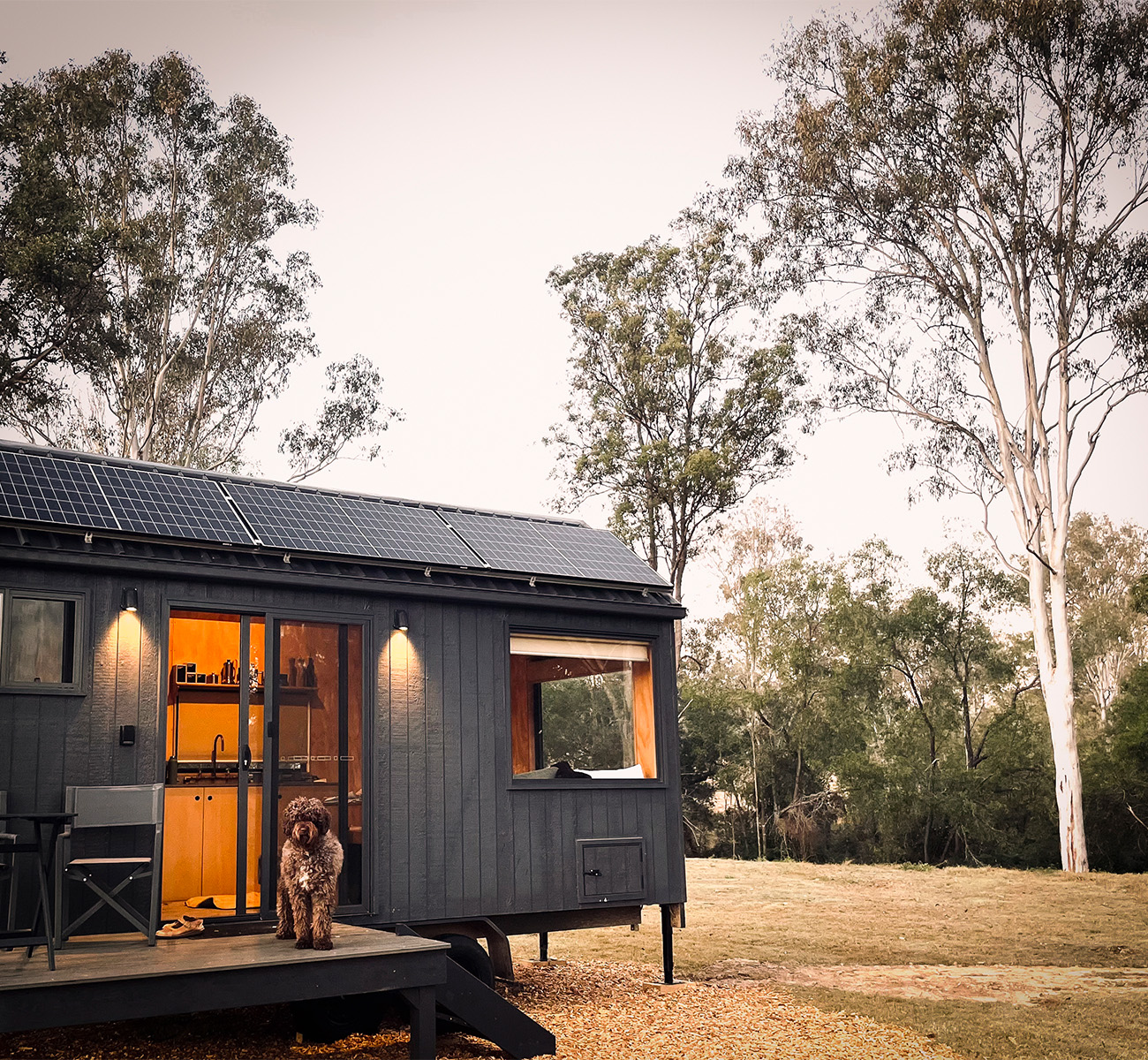 a black tiny house in a paddock