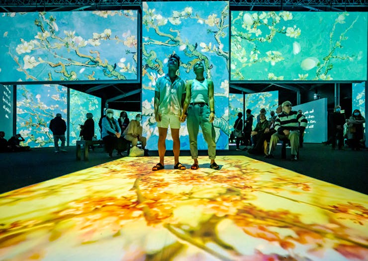 Van Gogh paintings projected on to large screens for Van Gogh Alive Sydney