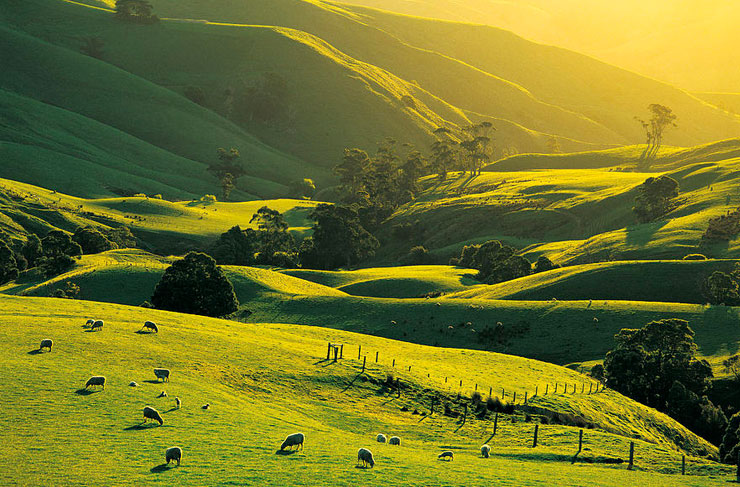 A large range of rolling hills on one of the best scenic drives in Victoria.