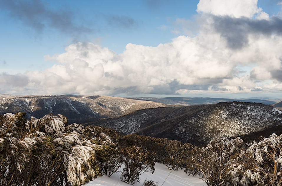 The Best Things To Do In Victoria's High Country URBAN LIST MELBOURNE