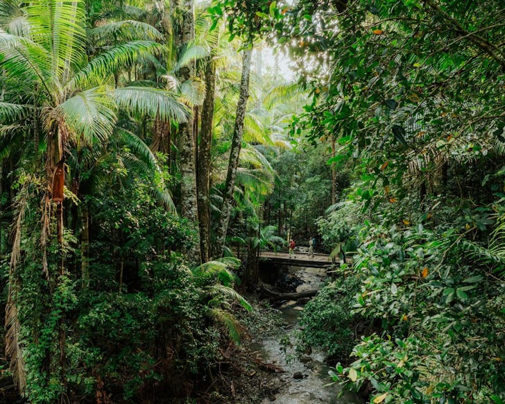 Hikers walk through the Whian Whian State Conservation Area
