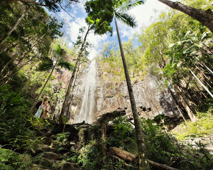 A waterfall at Protesters Falls