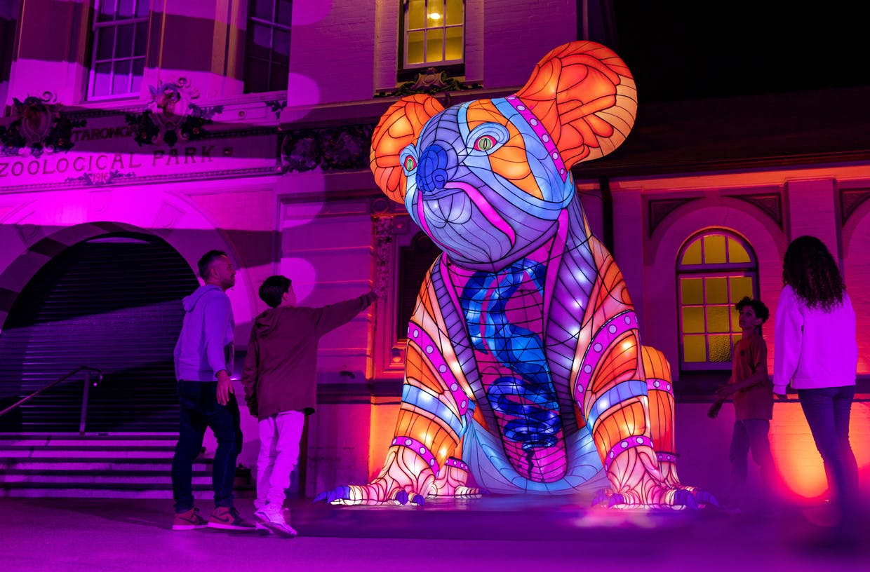 A glowing koala as part of the Vivid Sydney exhibition