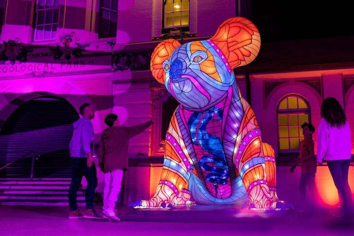 A glowing koala as part of the Vivid Sydney exhibition