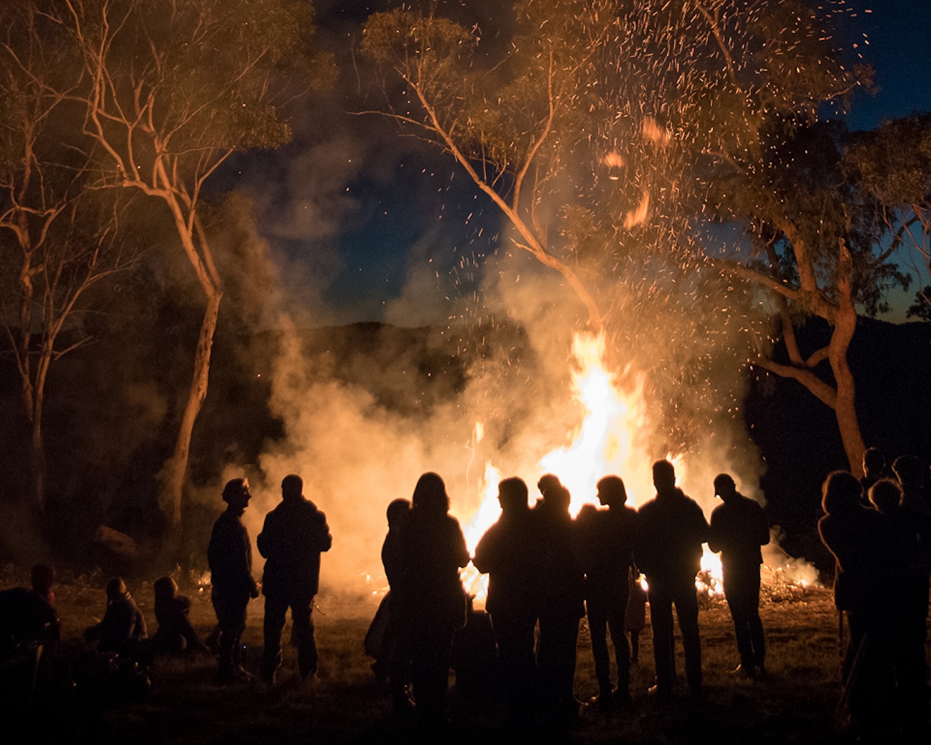 people surround a fire under trees for firetalk at vivid sydney 2025