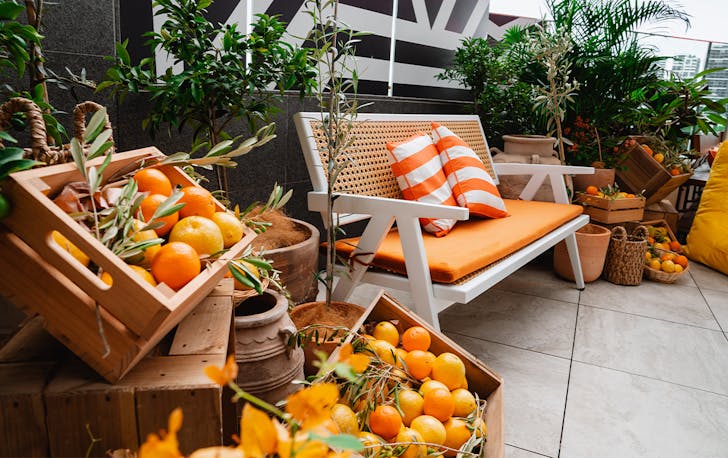 Lounge chair surrounded by boxes of fruit 
