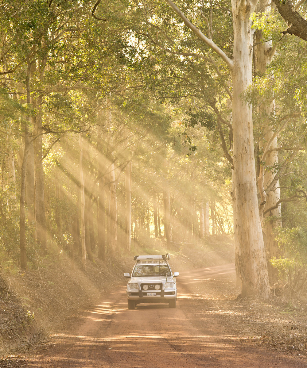 a 4WD driving on a country road with sun shining through the trees