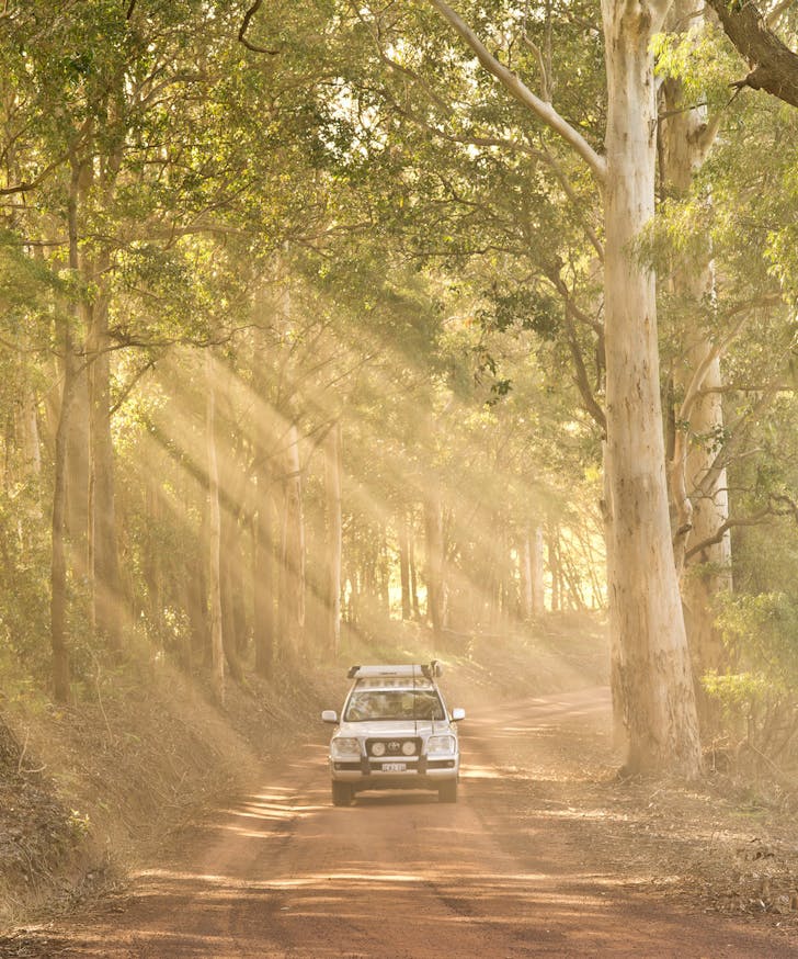 a 4WD driving on a country road with sun shining through the trees