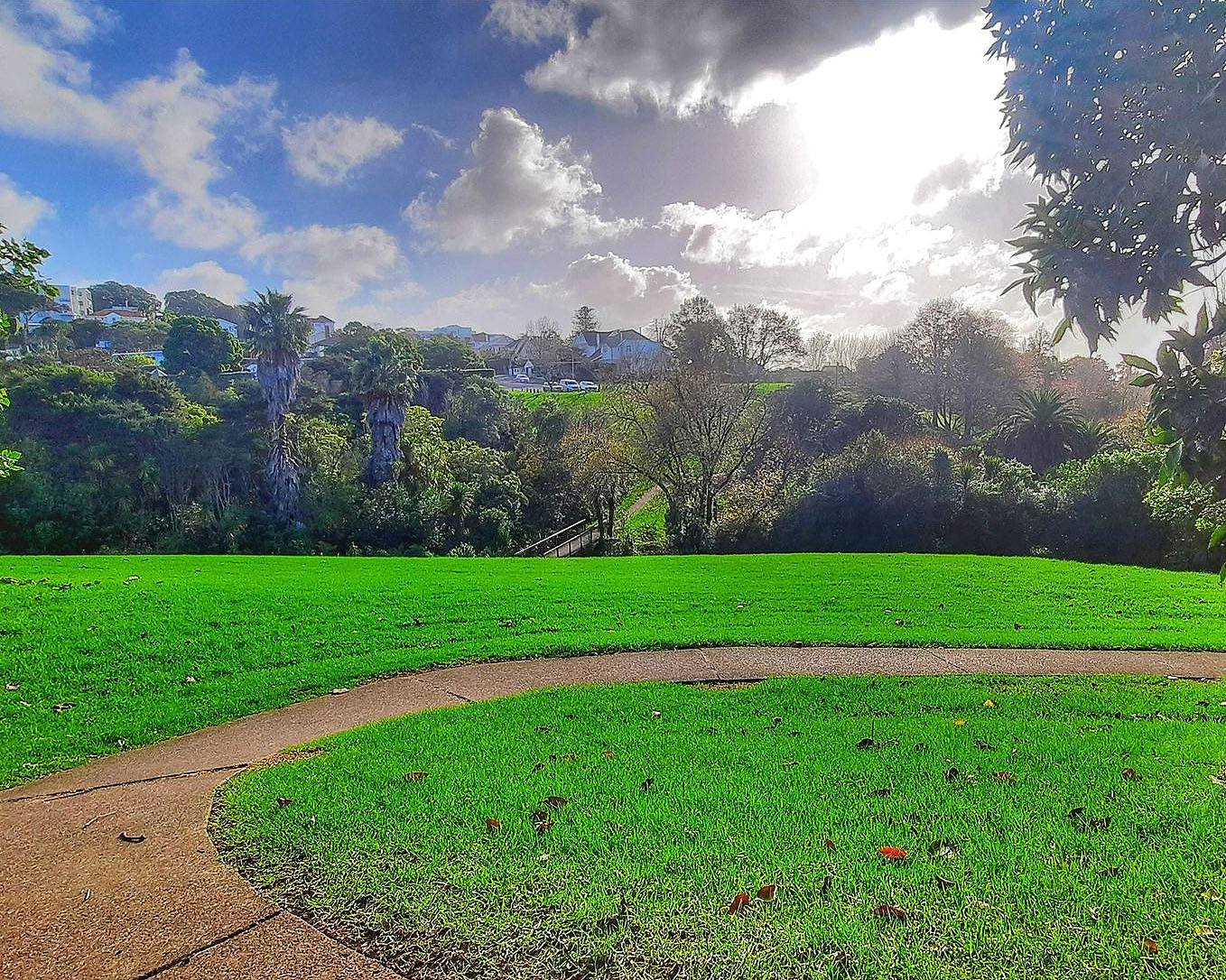 Large park green with a walking path at Waiata Reserve