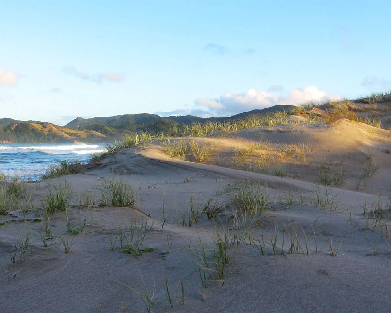 Waikawau bay sand dunes