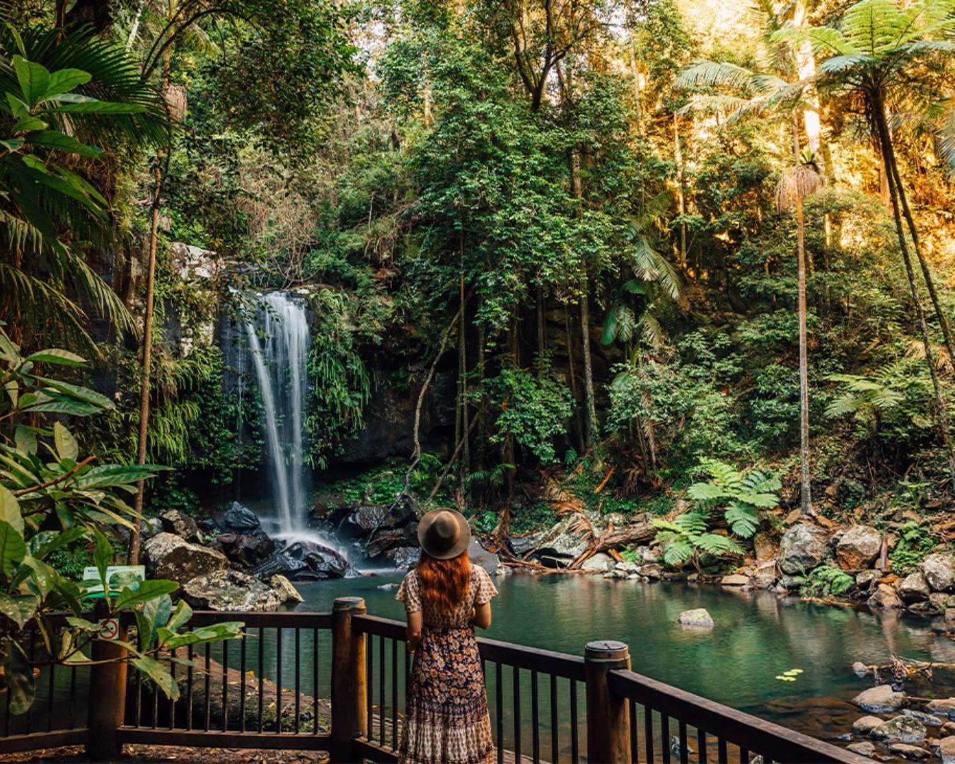 Lady looking at waterfall in rainforest 