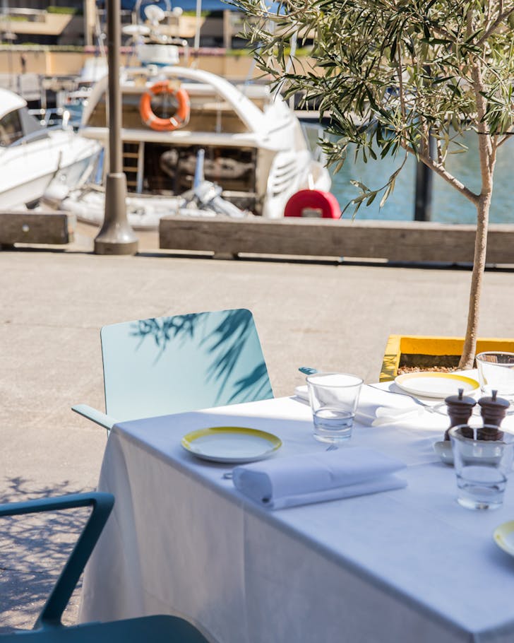 waterfront restaurants sydney otto woolloomooloo